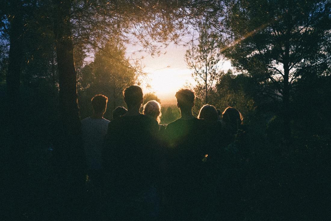 group of people in forest looking at the dawn